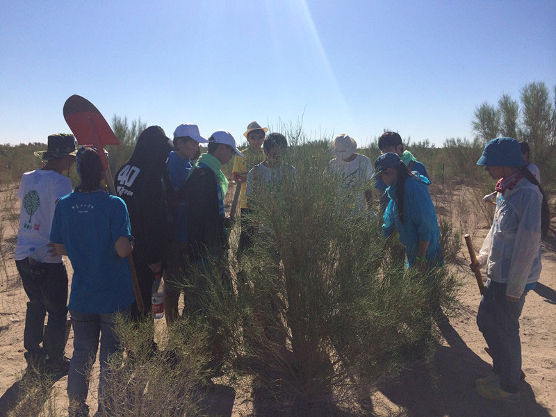 ������Ҫ��һ���ļ��ɺͽ�(j��ng)�(y��n)��ͬ�W(xu��)���_ʼ������һƬ�����ַ��ز����^�m(x��)�����[�ص��󶴡�