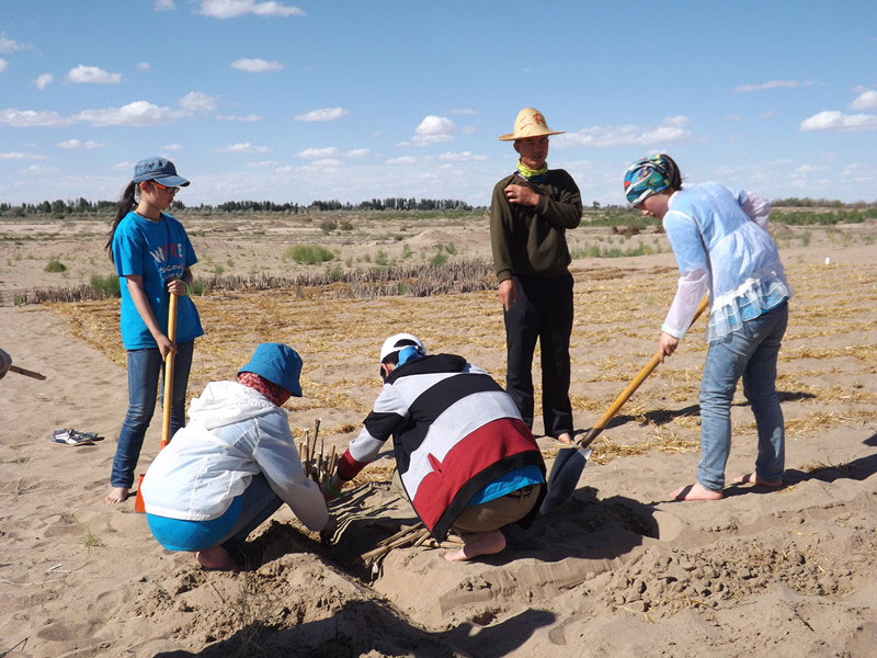 �@�N1.5��Ҋ�������ݸ�������ɳЧ����������^4��5���͕��L�g��������Ҫ�����a����