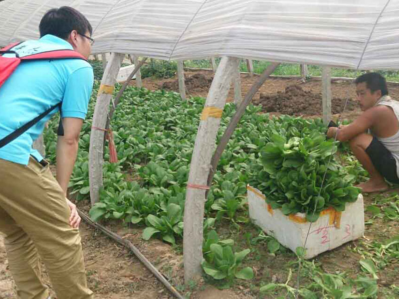 ���`꠆T�c��?sh��)��r(n��ng)��e�O��ͨ������������}���˽��߲˴�������P��r��