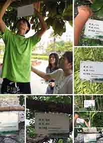 �K���r(n��ng)�W(xu��)Ժ�O(sh��)ӋУ�@ֲ����Ƭ�������K�r(n��ng)�Gɫ���}