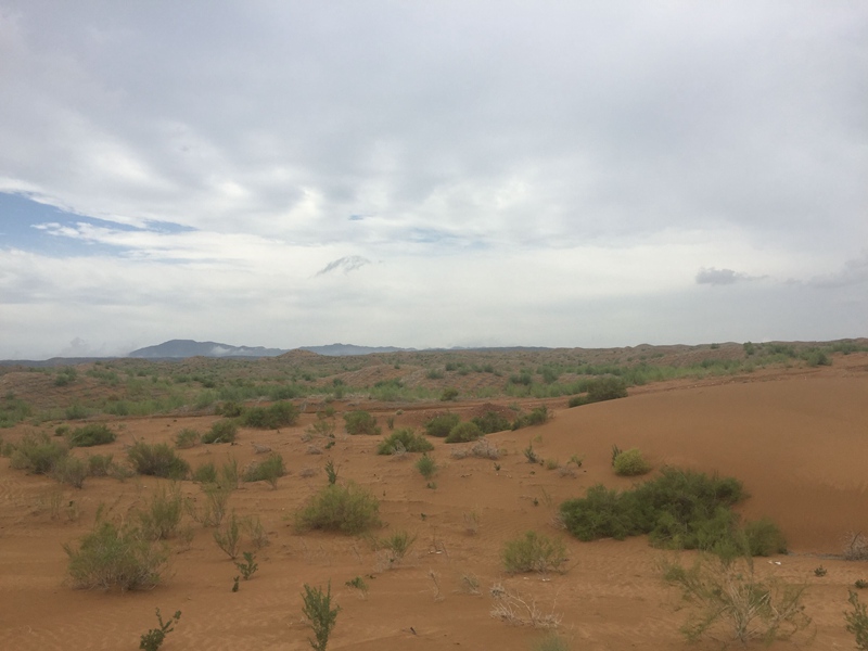 �v����ɳĮ�޾W(w��ng)������ݷ����ﲼ�M�[�d��ɳ��ֲ����