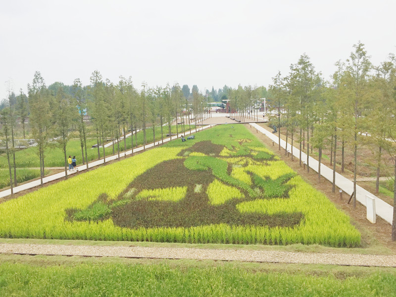 ������L�������������zӰ����־�ۣ�