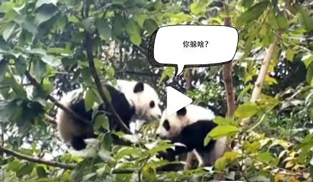 �L�L��̫�ɐ�����С��ȫ�̡���ĸЦ����