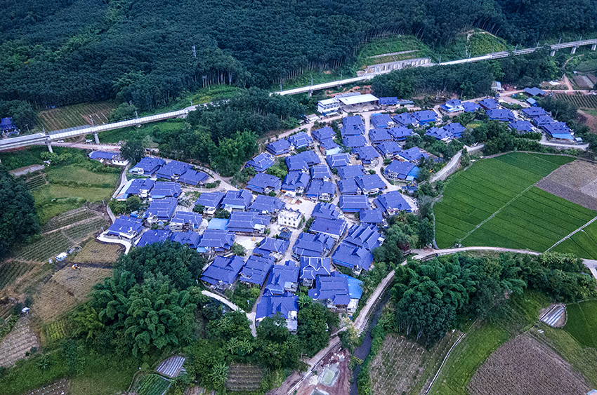 磨憨鎮(zhèn)曼莊村大龍哈小組現(xiàn)代化邊境幸福村新貌。人民網(wǎng)記者 符皓攝