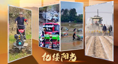 億縷陽(yáng)光·鄉(xiāng)見(jiàn)︱田頭科技范兒