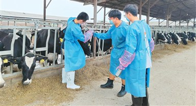 科技小院飄奶香